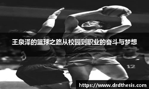 王泉泽的篮球之路从校园到职业的奋斗与梦想